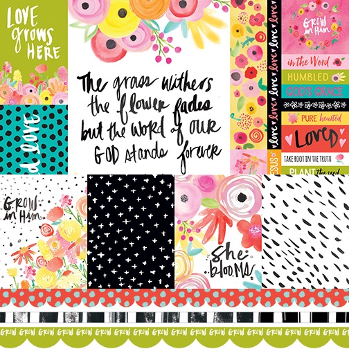 D1032 Borders & Daily Details